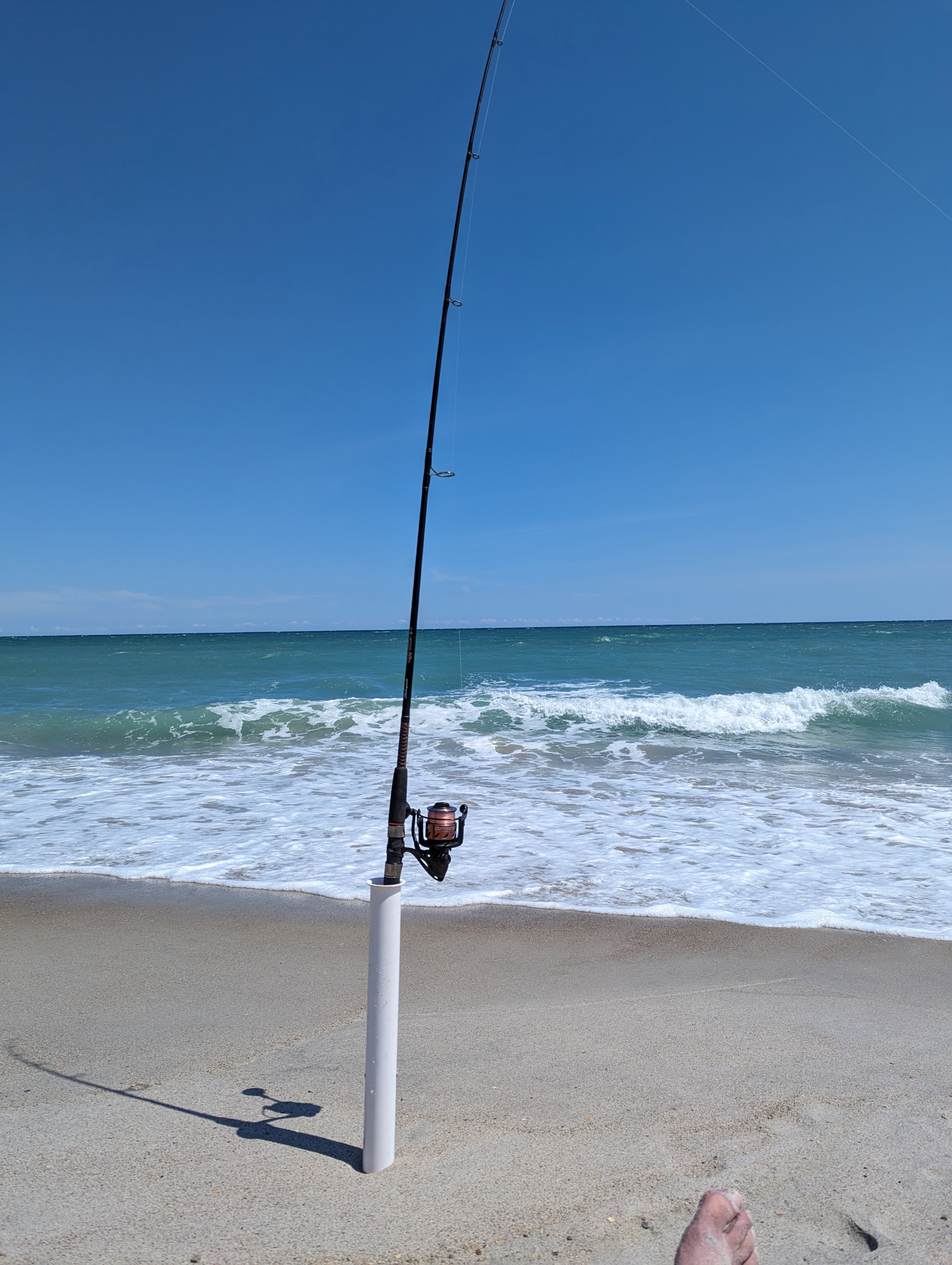 Charleston Shore Fishing — Where to Fish Without a Boat