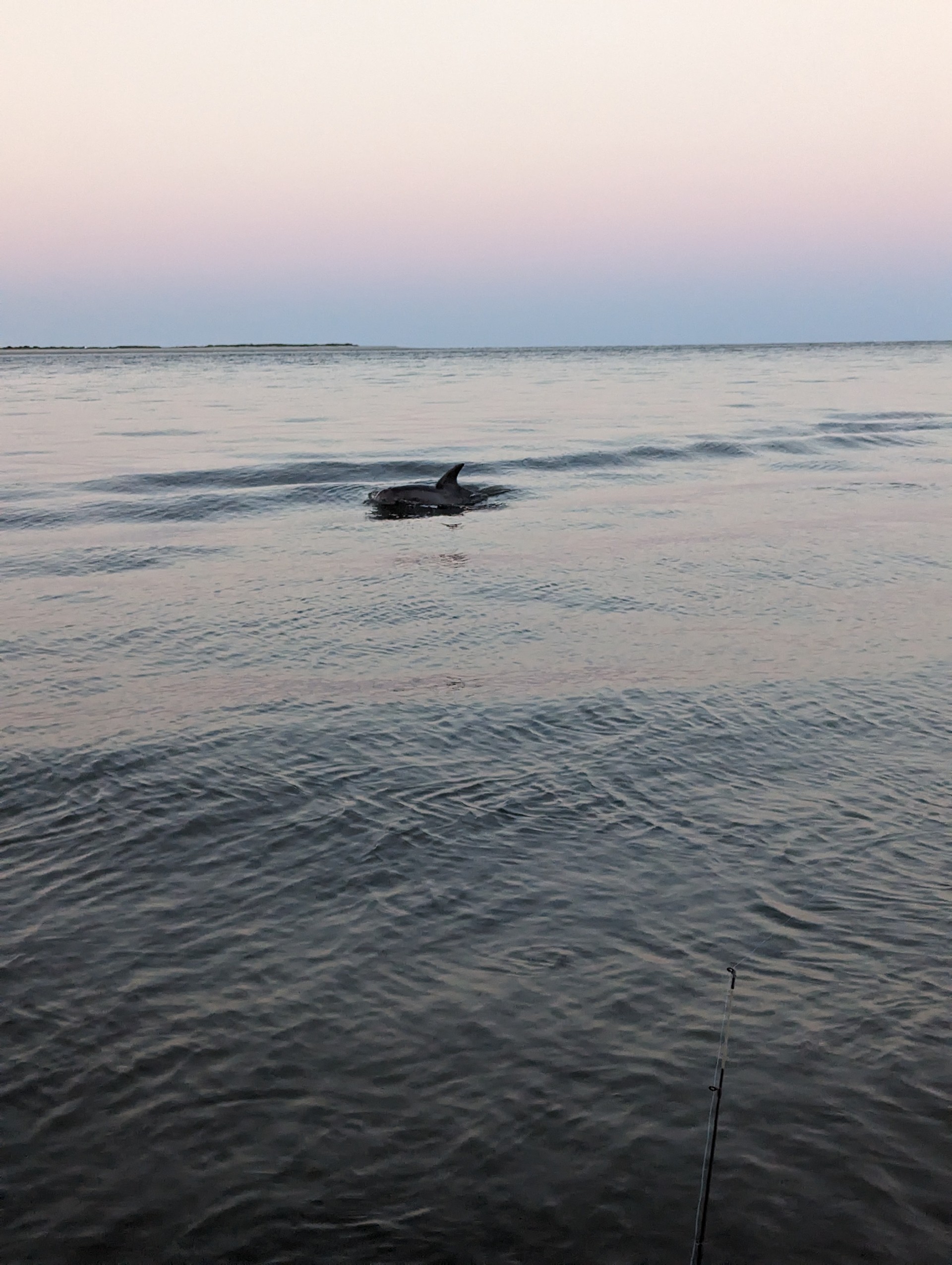 Charleston Creek Mouth Fishing 101: Why Outgoing Tide Ambush Points Are Everything